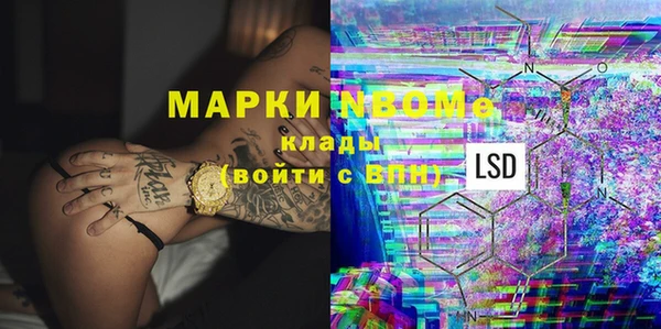крисы Мегион
