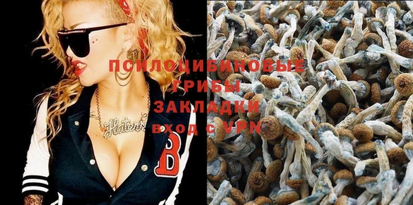 spice Медногорск